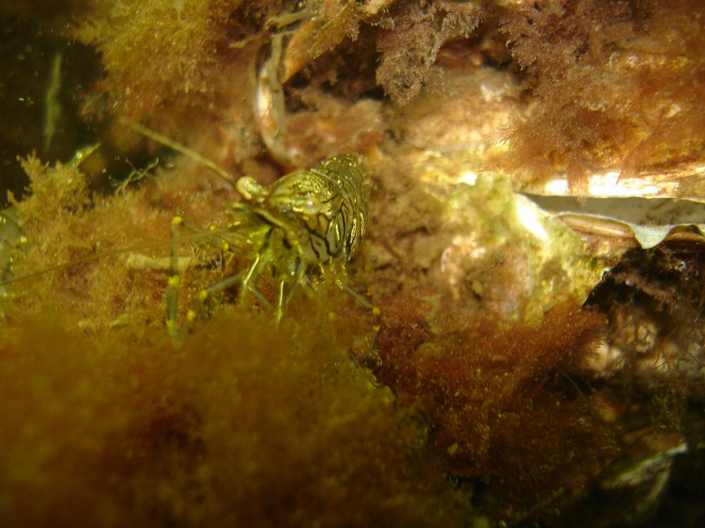 2008-06-28 12-27-30 H.JPG